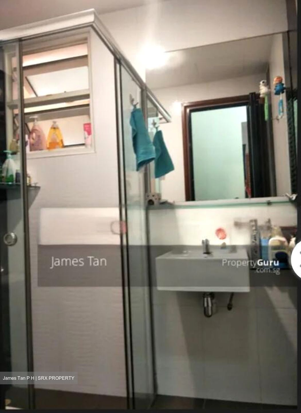 Moonstone View (D12), Apartment #540992081